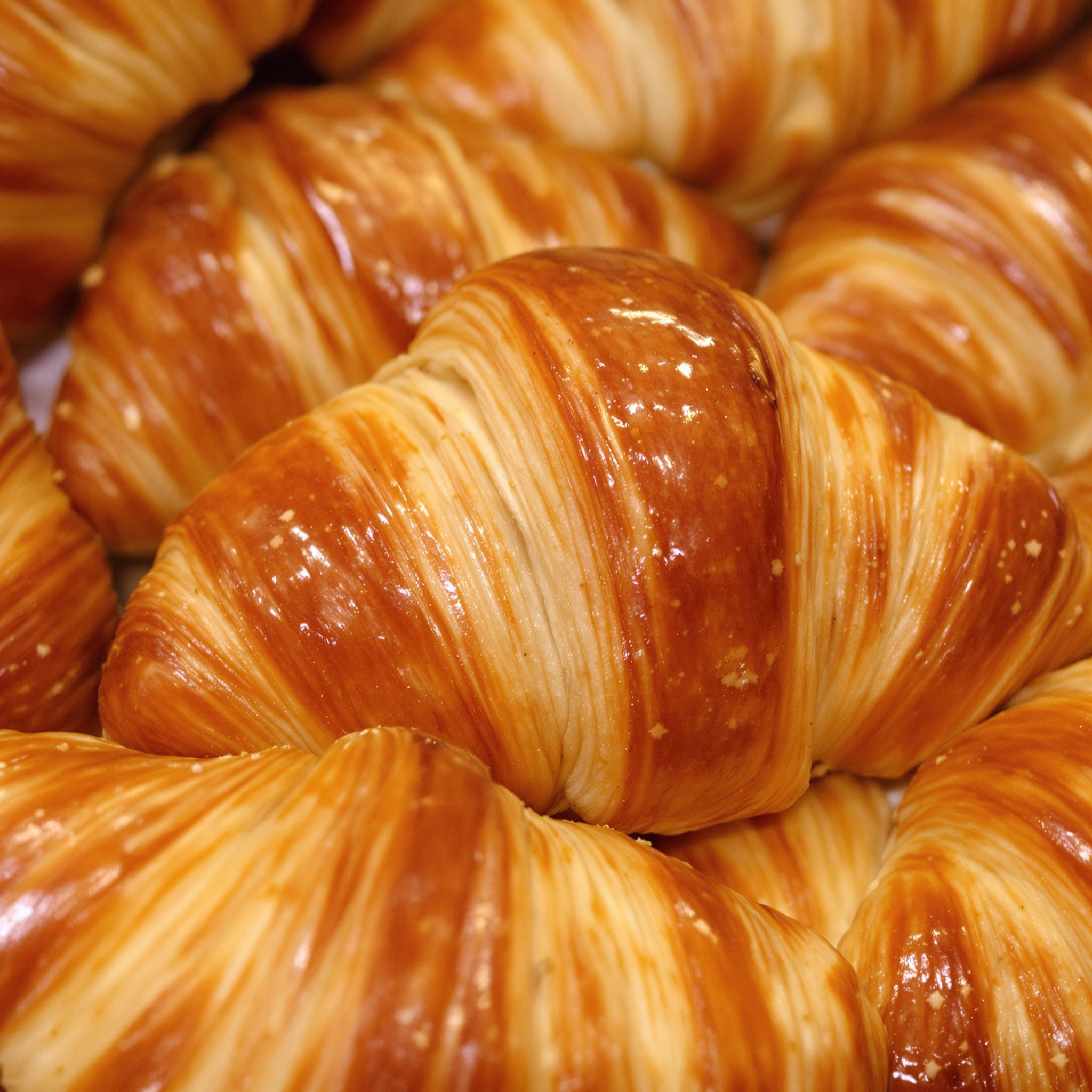 Croissant Dough