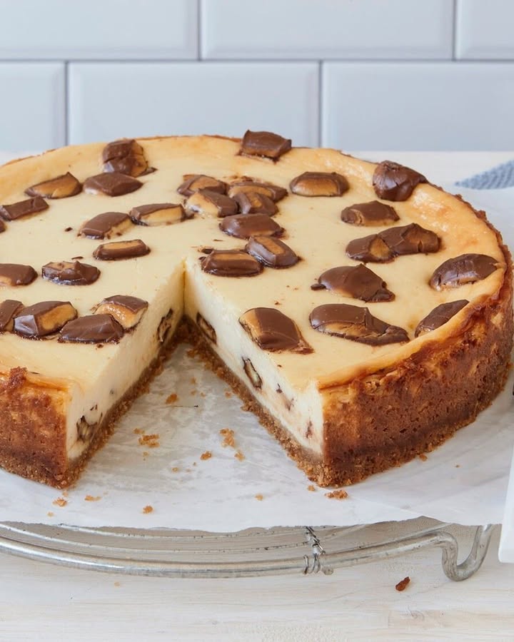 Chocolate Curd Cheesecake