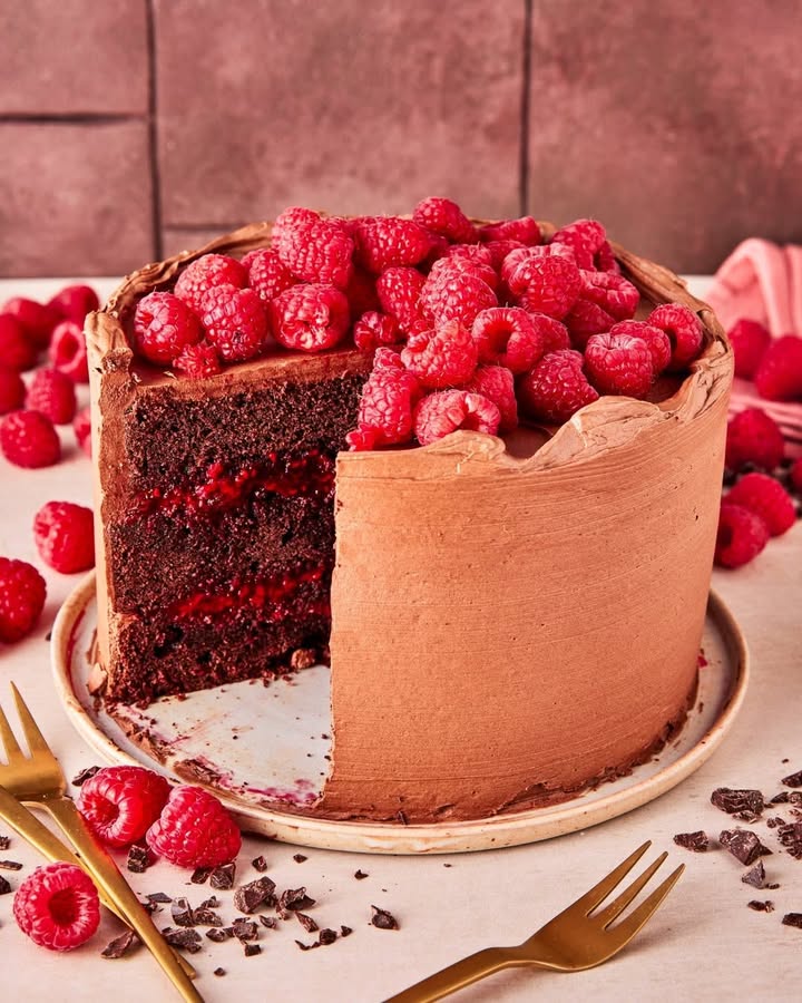 Chocolate Raspberry Delight